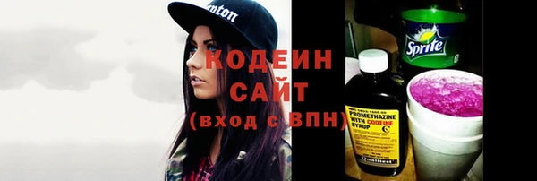 мдпв Бикин