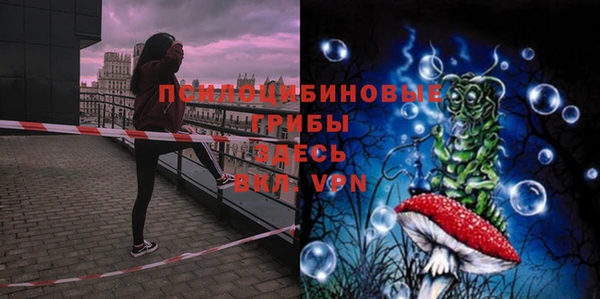 гидра Бронницы