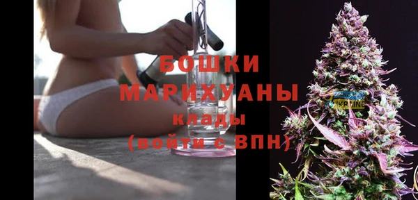не бодяженный Бородино