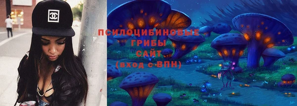 гидропоника Михайлов