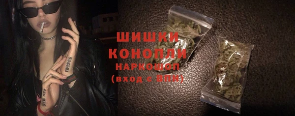гидра Бронницы