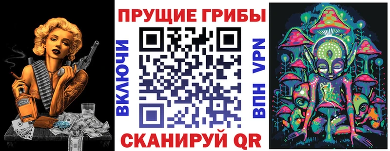 кракен ТОР  купить наркоту  Венёв  Псилоцибиновые грибы ЛСД 