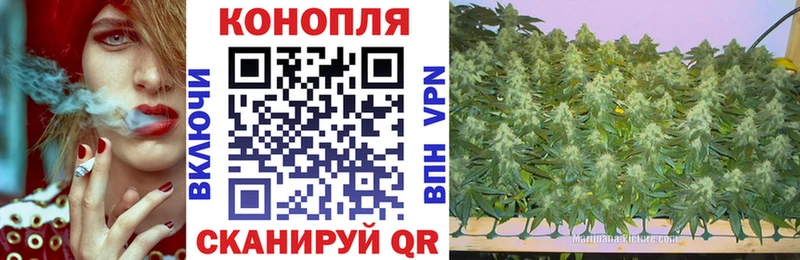 Каннабис тримм  Венёв 